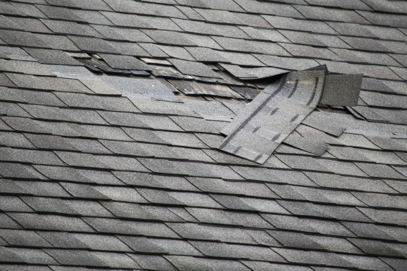 Shingle Damage Repair