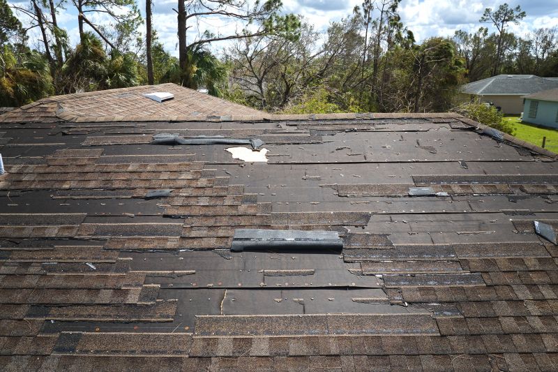 Expert Roofing Technician